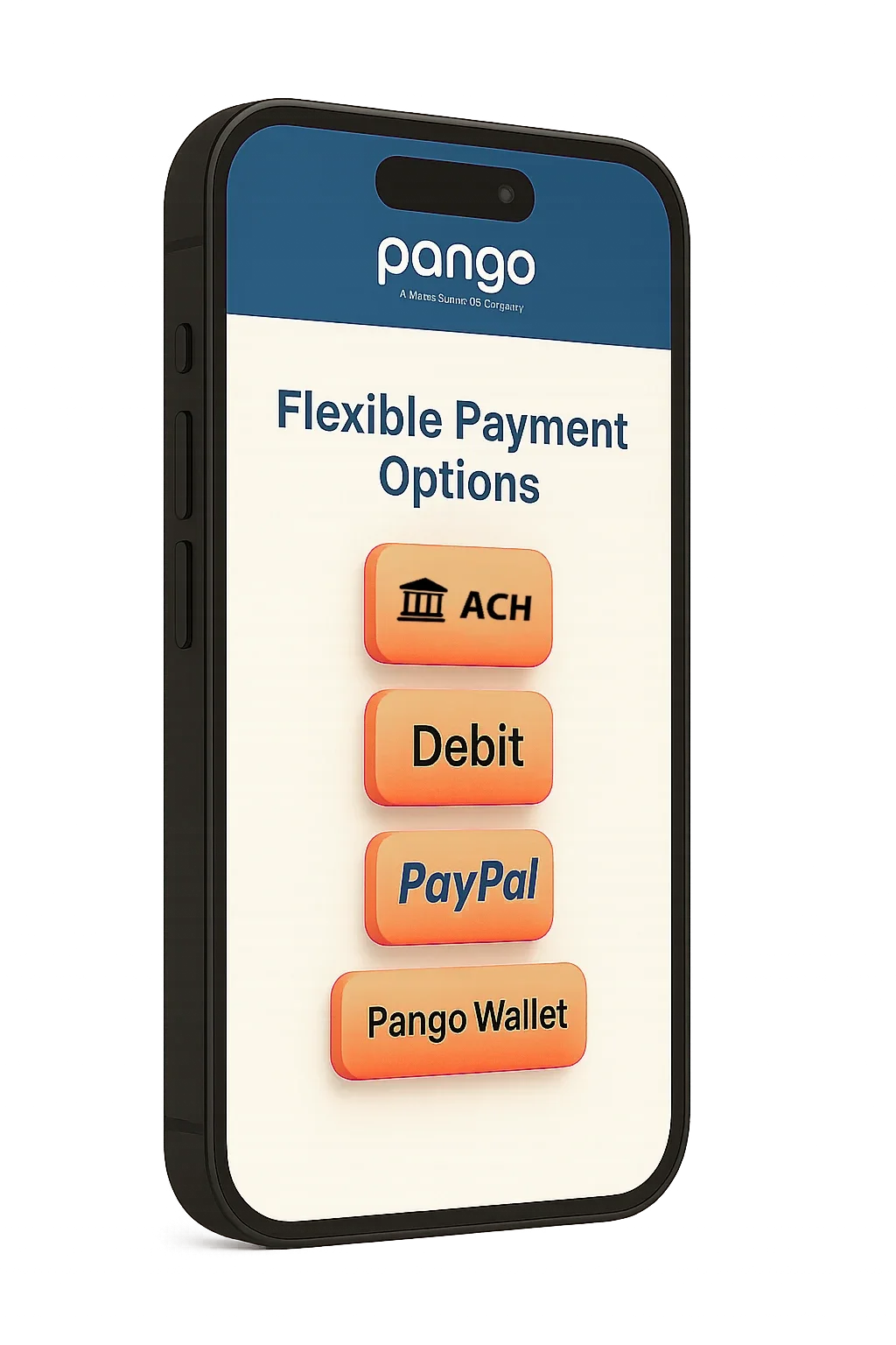 Phone screen showing flexible payment options available through Pango